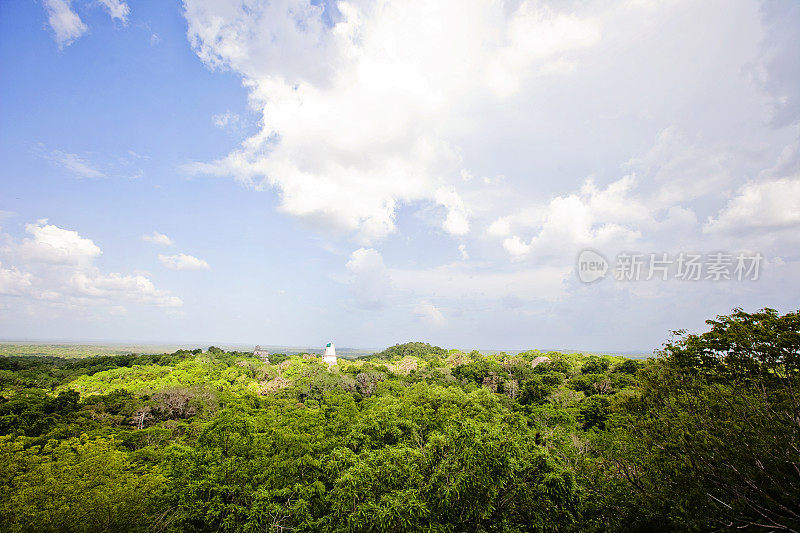 Tikal View from Templo IV